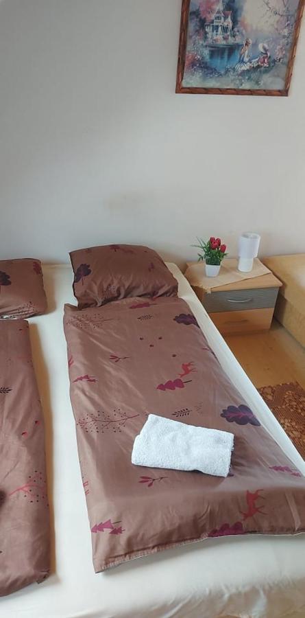 ホテルKekturas-Tora Nyilo Badacsonyi Privat Berlemeny バダチョニトマイ エクステリア 写真